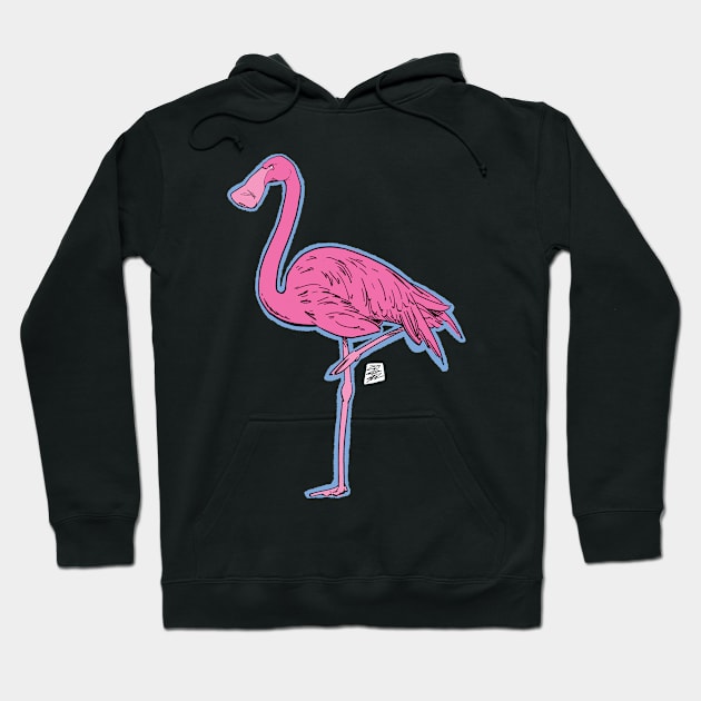 Flamingo Nose Hoodie by TheObscureGentlemen